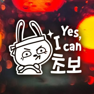 YES I CAN 초보 끼토 / 초보운전 반사스티커 자동차스티커