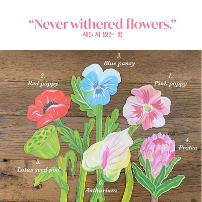 페이퍼플라워 ver.1 SET