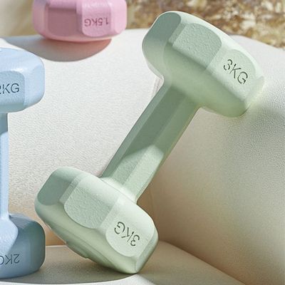 그린 육각 덤벨 아령 2개세트 3kg(WFHYBJY)
