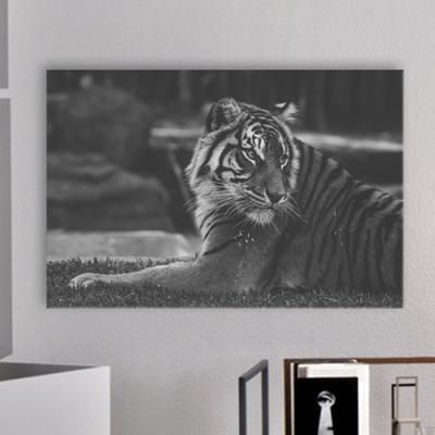 iv352-액운쫓는흑백카리스마호랑이_중형노프레임액자