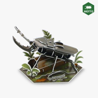 모또 육각 곤충 사슴벌레 만들기