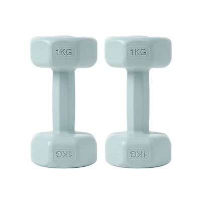 덤벨 아령 소형 운동 근력트레이닝 1kg(WFHY9V0)