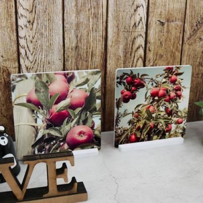 pk316-스탠드액자2P_풍요로운사과나무2