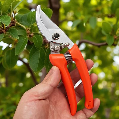 나무 화초 조경 가지치기 원예 전지가위