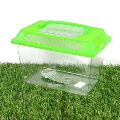 곤충 채집통 중형(WC2F045)