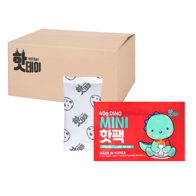 핫데이핫팩 다이노 미니형 40g X 100매