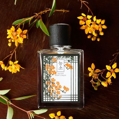 탐향 능소 오드퍼퓸