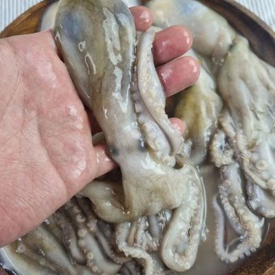 혜명몰 냉동 낙지 6미 낙지볶음재료 통낙지 냉동해산물 냉동낙지 해물요리(WFPBXPS)
