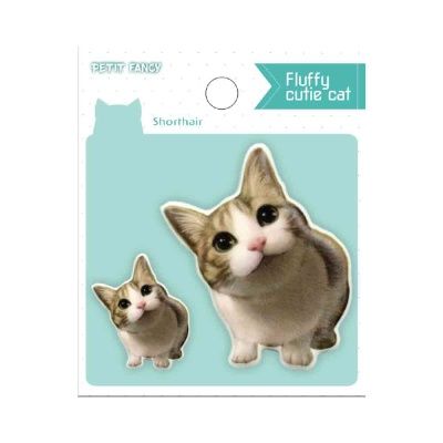 DA5449 fluffy cutie cat 빅 캐스팅 말랑 스티커