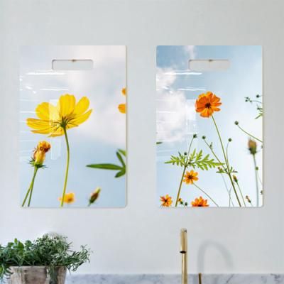nt098-행잉액자_황화코스모스(세로)
