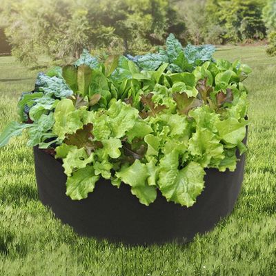 부직포 화분 베란다 텃밭 블루베리화분(WFLOSKW)