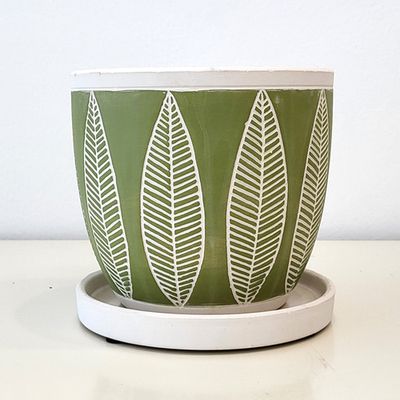 Carnic japan 나뭇잎 도자기화분(그린)