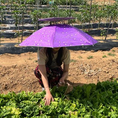 낚시 등산 양산형 퍼플 컬러 2단 두상 착용 대형(WFP98Q9)