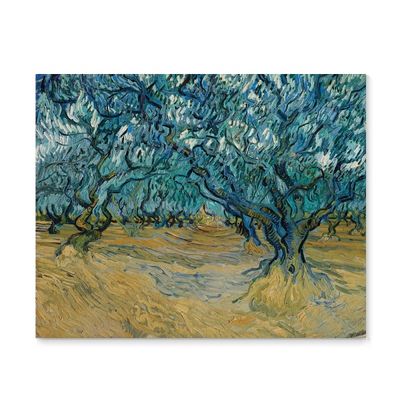고흐 - 올리브 과수원 Olive Orchard 캔버스액자