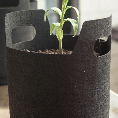 부직포 화분 5개세트 가정용재배화분(WFLOSKR)
