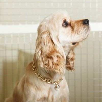 Vintage Bold Chain N