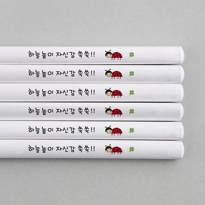 [주문제작]네임연필2B 6자루화이트 무당벌레