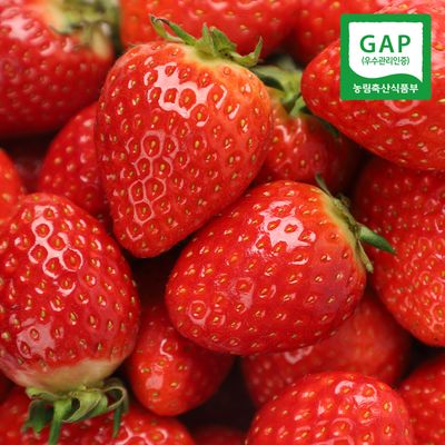논산 딸기 홍희/설향/킹스베리 골라담기 (GAP인증)