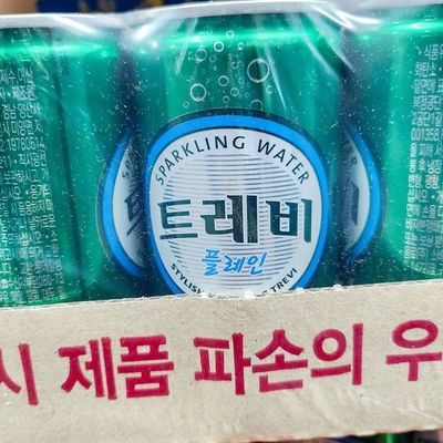 탄산수(트레비 캔 190ml 플레인 30개)(WFNNQUI)
