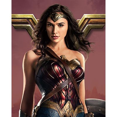 DC코믹스 그림그리기 세트 원더우먼 40x50