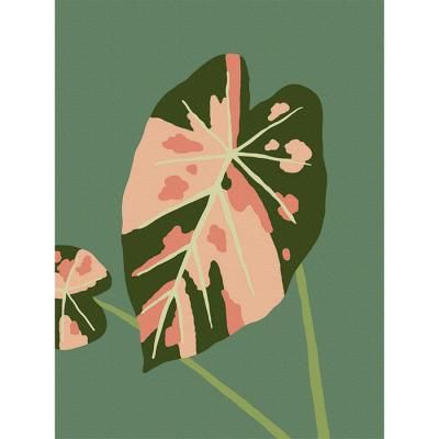 수채화 알로카시아 (캔버스) DIY그리기 30x40