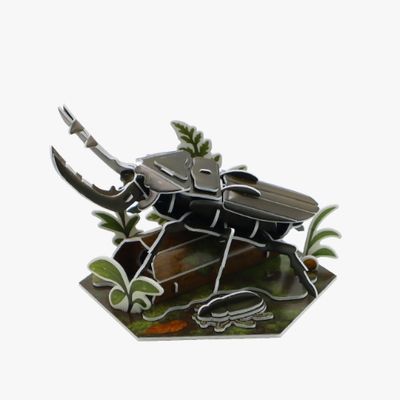 3D입체퍼즐 곤충박물관 사슴벌레 모형 만들기