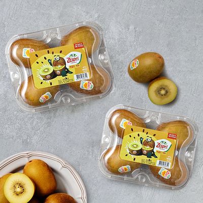 [Zespri] 청정제주 썬 골드키위 1.2kg/8개(점보)