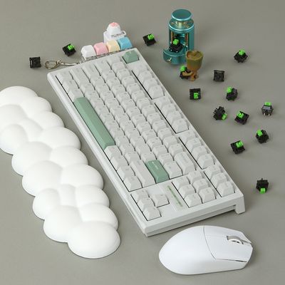 SPM PL87C PBT 몽돌 텐키리스 게이밍 기계식 키보드