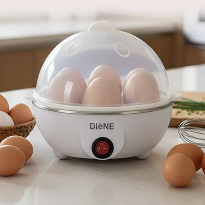 [Diene] 디엔 아우라 에그 스티머 DN-999EG