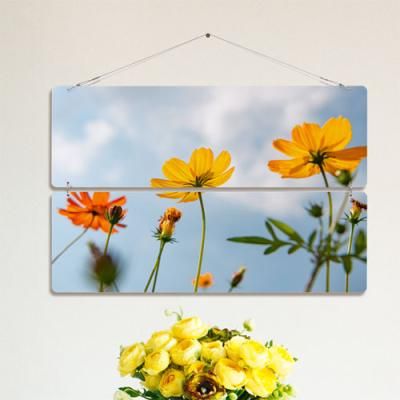 nn762-멀티아크릴액자_황화코스모스(2단대형)