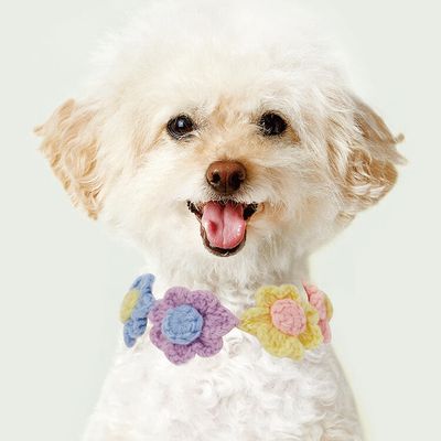 아트박스 PET케이프 플라워