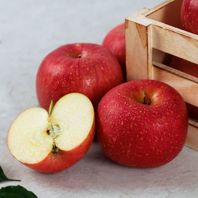 [오늘아침사과] 경북 꿀맛 알뜰사과 2kg ~ 10kg 담기