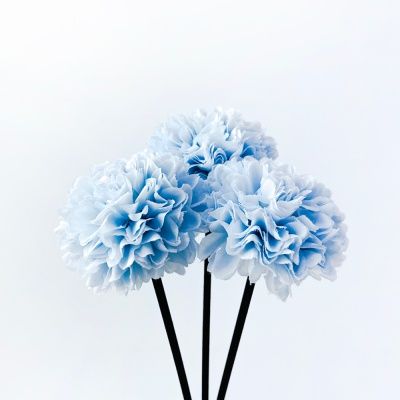 시즈넬 디퓨저 플라워스틱 메리골드 스카이블루 3개