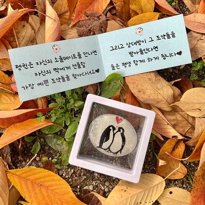 펭귄 조약돌 커플 편지 기념일 선물 남친 여친 이벤트