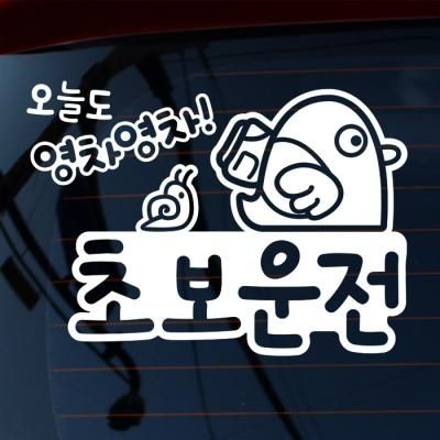 병아리 오늘도 영차영차 초보운전