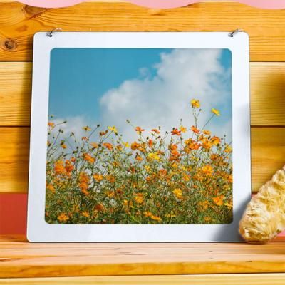 nt095-행잉액자_황화코스모스(사각중형)