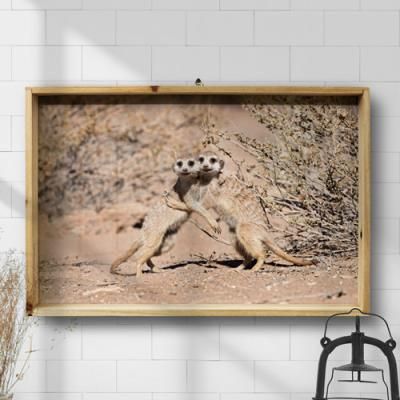 tg846-우드프레임액자_사이좋은미어캣