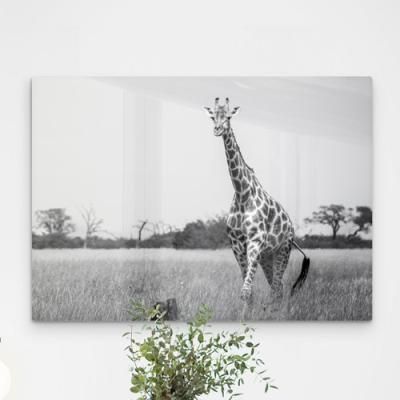 tj089-폼아크릴액자78CmX56Cm_행복을주는기린