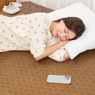 한일의료기 EMF 전기매트 골드브라운 더블 분리난방