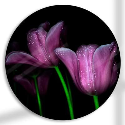 pf382-원형아크릴액자_이슬이맺힌튤립