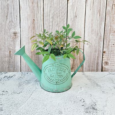 러스트 민트 양철 데코 물조리개