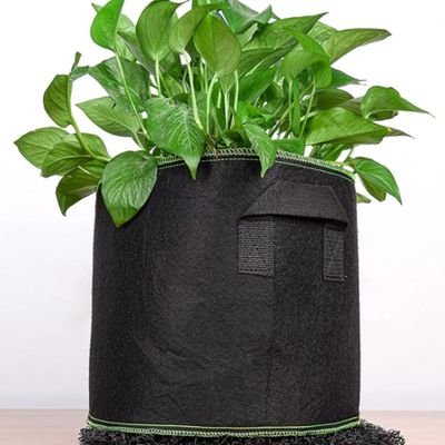 부직포 화분 베란다 대파 상추키우기 2p(WFLOSKU)