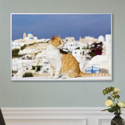 cx654-산토리니와고양이_중형메탈액자