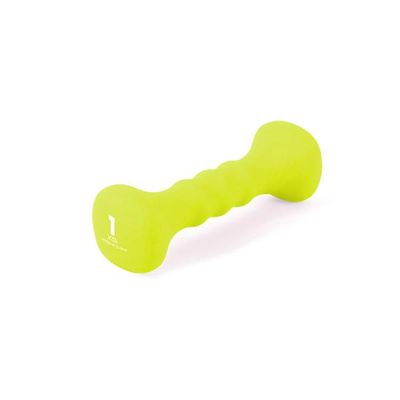 아이워너 논슬립 네오프렌 아령 덤벨 1kg 미용 홈트