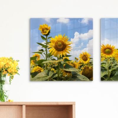 da658-폼아크릴액자38CmX38Cm_하늘을바라보는해바라기