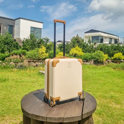 SMC 레디백 미니캐리어 18인치(ABS 3다이얼락)