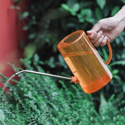 PH 투명 화분 물조루 물뿌리개 물조리개 FS649 1.5L