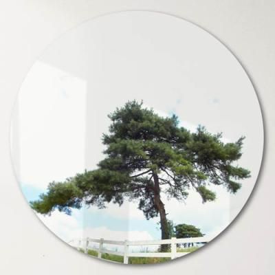 pf423-원형아크릴액자_푸른소나무