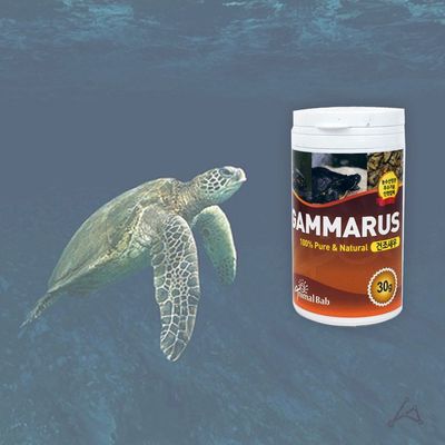 30g 루스 건조 감마 새우(WDEE780)