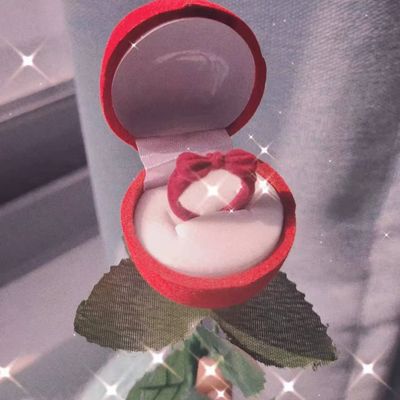 장미꽃 장미 반지케이스 쥬얼리 반지 프로포즈 선물